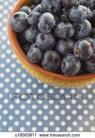 Blueberries in bowl View Large Photo Image Stock Image - Blueberries in bowl. Fotosearch