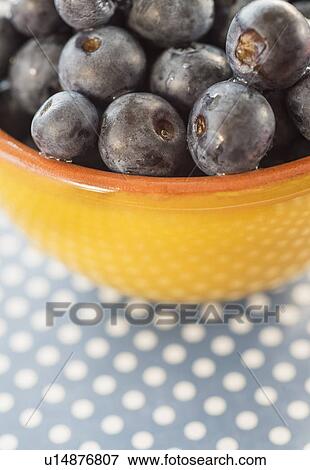 Blueberries in bowl View Large Photo Image Stock Photo - Blueberries in bowl. Fotosearch