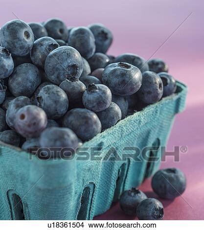 Picture - Blueberries in carton box. Fotosearch