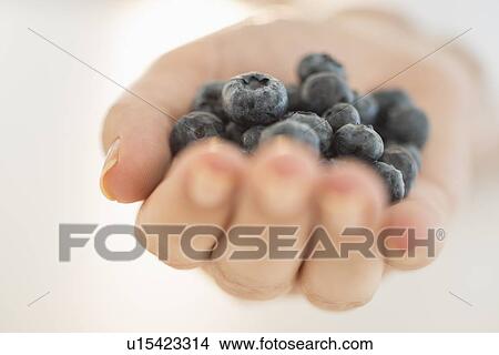 Blueberries on woman's hand View Large Photo Image Picture - Blueberries on woman's hand. Fotosearch