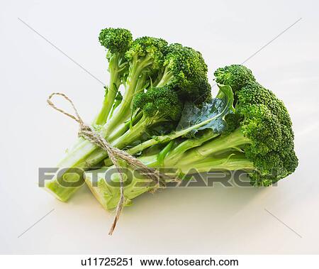 Stock Image - Broccoli on white background, studio shot. Fotosearch
