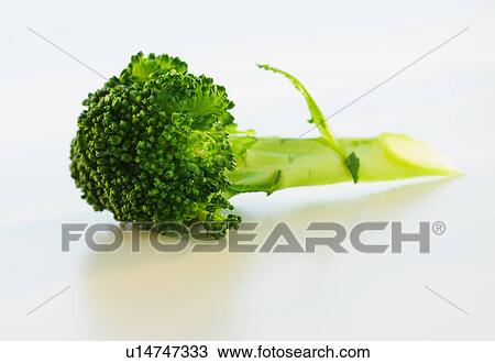 Stock Image - Broccoli on white background, studio shot. Fotosearch