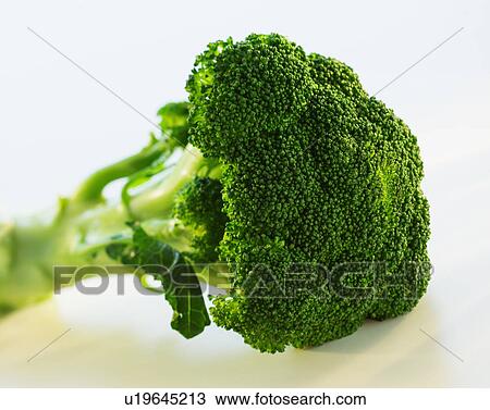 Broccoli on white background, studio shot View Large Photo Image Stock Image - Broccoli on white background, studio shot. Fotosearch