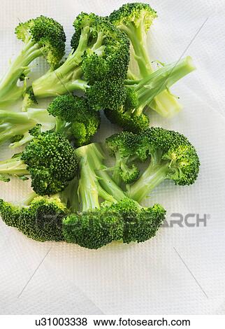 Stock Photo - Broccoli on white background, studio shot. Fotosearch