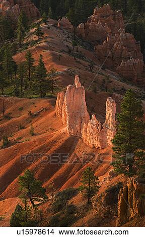 Picture - Bryce Amphitheater. Fotosearch