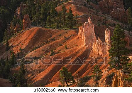 Bryce Amphitheater View Large Photo Image Stock Image - Bryce Amphitheater. Fotosearch