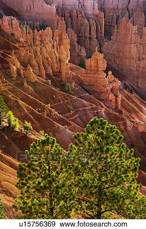 Bryce Amphitheater View Large Photo Image Stock Photo - Bryce Amphitheater. Fotosearch