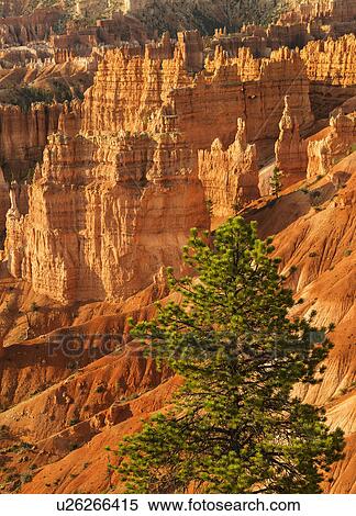Stock Photography - Bryce Amphitheater. Fotosearch