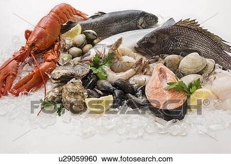 Stock Image - Choice of seefood, Studio shot. Fotosearch