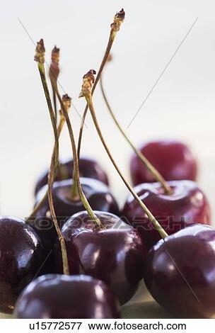 Close-up of bunch of cherries View Large Photo Image Stock Photo - Close-up of bunch of cherries. Fotosearch