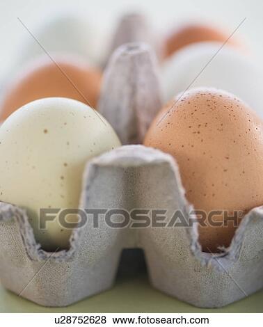 Stock Photo - Close-up of eggs in carton. Fotosearch