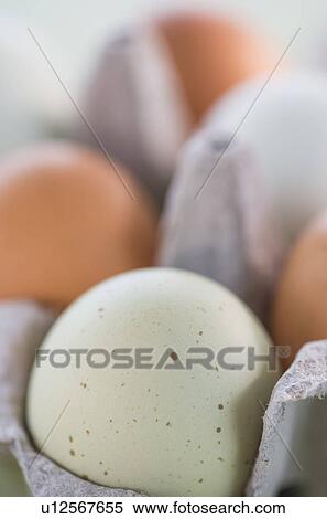 Close-up of eggs in carton View Large Photo Image Stock Photography - Close-up of eggs in carton. Fotosearch