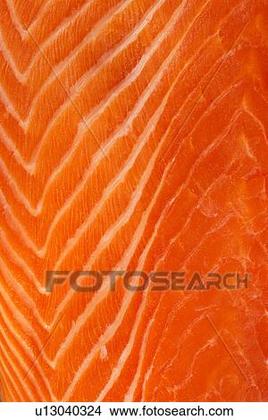 Close up of raw salmon meat, studio shot View Large Photo Image Picture - Close up of raw salmon meat, studio shot. Fotosearch