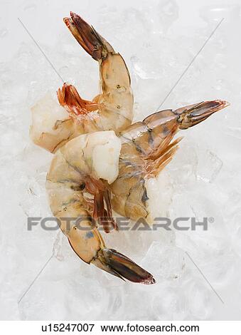 Stock Photo - Close up of shrimp, studio shot. Fotosearch