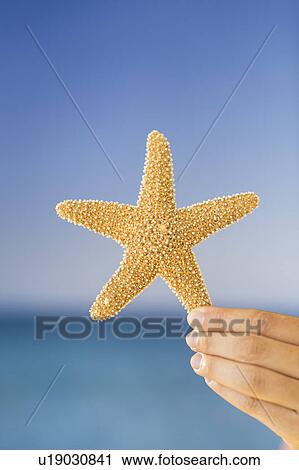 Stock Image - Close up of woman's hand holding starfish. Fotosearch