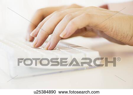 Close up of woman's hands typing on computer keyboard View Large Photo Image Stock Image - Close up of woman's hands typing on computer keyboard . Fotosearch