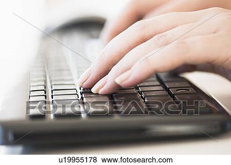 Close up of woman's hands typing on computer keyboard View Large Photo Image Stock Photo - Close up of woman's hands typing on computer keyboard . Fotosearch