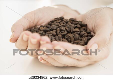 Coffee beans on woman's hand View Large Photo Image Stock Image - Coffee beans on woman's hand. Fotosearch