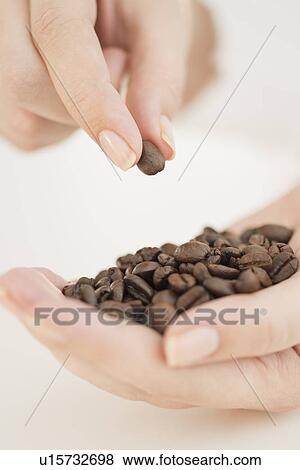 Coffee beans on woman's hand View Large Photo Image Stock Photo - Coffee beans on woman's hand. Fotosearch