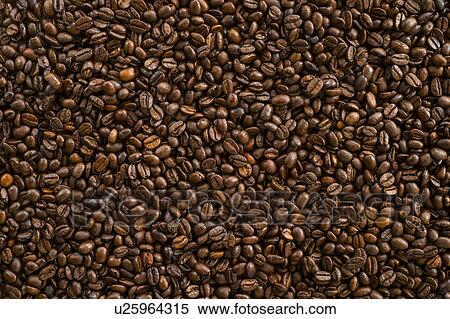 Stock Photography - Coffee beans, studio shot. Fotosearch