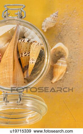 Stock Photo - Composition of sea shells in glass jar on yellow background. Fotosearch