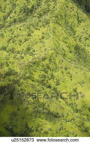 Elevated view of green mountain View Large Photo Image Stock Image - Elevated view of green mountain. Fotosearch