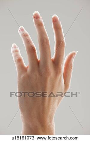 Feminine Hand View Large Photo Image Stock Image - Feminine Hand. Fotosearch