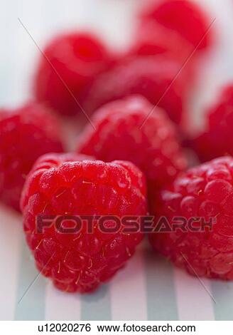 Fresh raspberries View Large Photo Image Stock Photograph - Fresh raspberries. Fotosearch