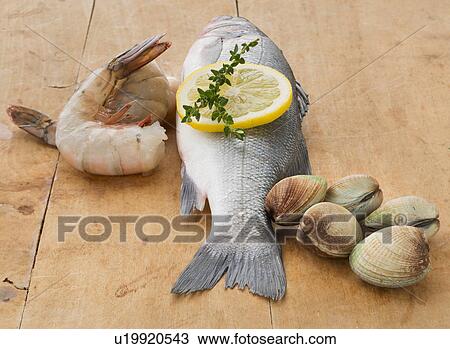 Fresh raw seafood on table, studio shot View Large Photo Image Stock Image - Fresh raw seafood on table, studio shot. Fotosearch