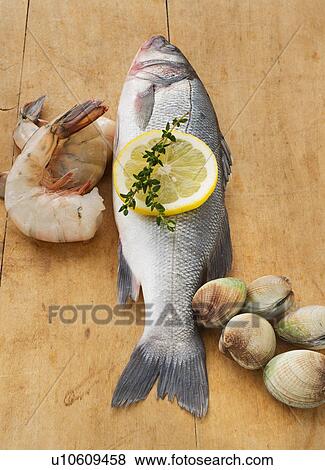 Fresh raw seafood on table, studio shot View Large Photo Image Stock Photo - Fresh raw seafood on table, studio shot. Fotosearch