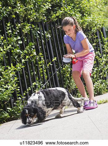 Girl (8-9) walking her dog View Large Photo Image Stock Photograph - Girl (8-9) walking her dog . Fotosearch