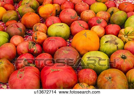 Heap of heirloom tomatoes View Large Photo Image Picture - Heap of heirloom tomatoes. Fotosearch
