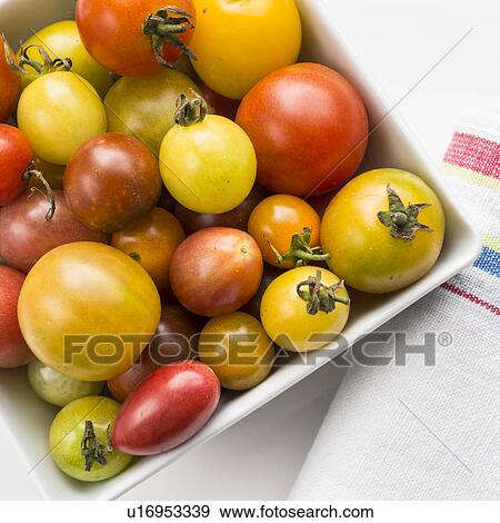 Heirloom tomatoes in plate, studio shot View Large Photo Image Stock Photo - Heirloom tomatoes in plate, studio shot. Fotosearch