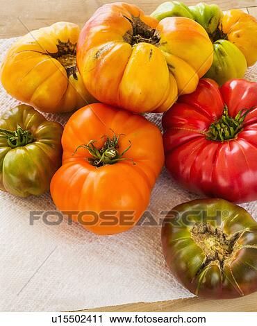 Stock Image - Heirloom tomatoes on paper towel. Fotosearch