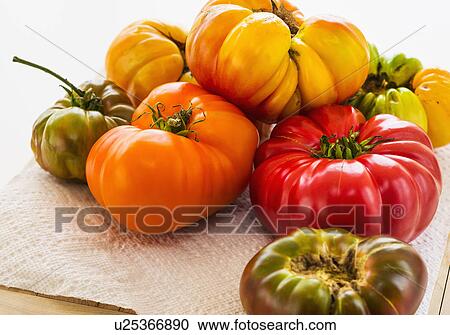 Heirloom tomatoes on paper towel View Large Photo Image Stock Image - Heirloom tomatoes on paper towel. Fotosearch