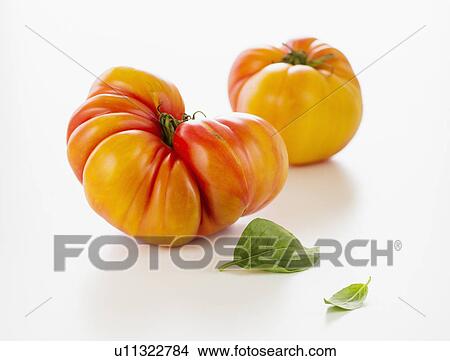 Picture - Heirloom tomatoes, studio shot. Fotosearch