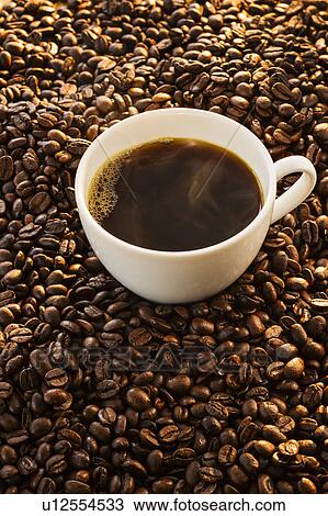 Hot coffee, studio shot View Large Photo Image Stock Image - Hot coffee, studio shot. Fotosearch