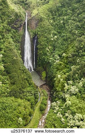 Jurassic Falls, Manawaiopuna Falls, Waterfall in forest View Large Photo Image Stock Photo - Jurassic Falls, Manawaiopuna Falls, Waterfall in forest. Fotosearch