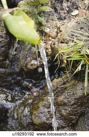 Stock Image - Kalalau Trail, Stream. Fotosearch
