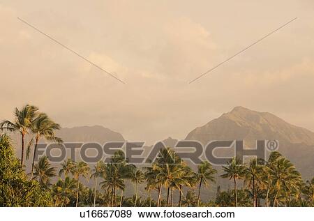 Landscape with palm trees View Large Photo Image Stock Photo - Landscape with palm trees. Fotosearch