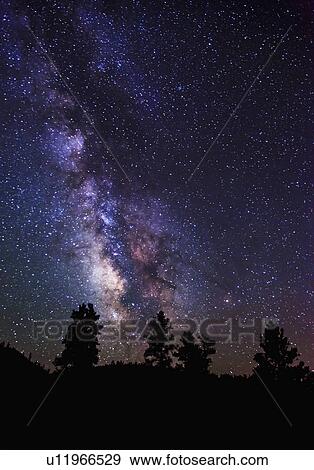 Milky Way and silhouetted trees View Large Photo Image Stock Photo - Milky Way and silhouetted trees. Fotosearch