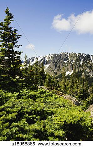 Mountain view View Large Photo Image Stock Photography - Mountain view. Fotosearch