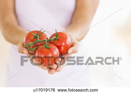 Portrait of young woman holding tomatoes View Large Photo Image Stock Photograph - Portrait of young woman holding tomatoes. Fotosearch