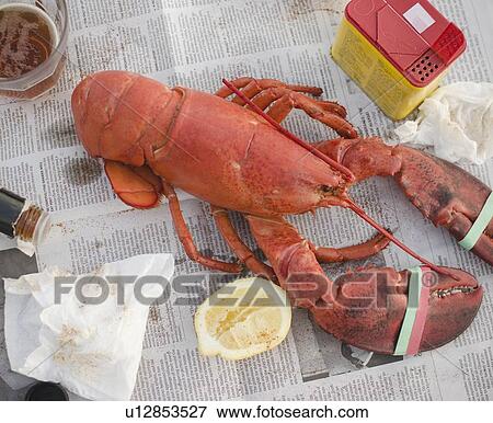 Raw lobster View Large Photo Image Stock Photo - Raw lobster. Fotosearch