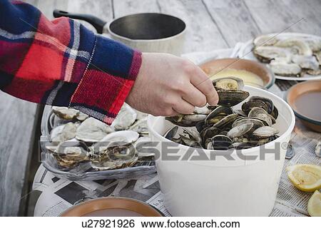 Stock Photograph - Raw oysters. Fotosearch