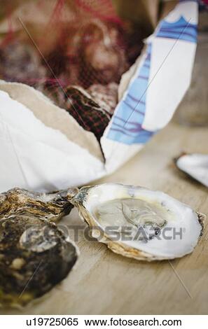 Stock Photography - Raw oysters. Fotosearch