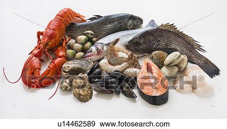 Stock Photo - Selection of seafood, studio shot. Fotosearch