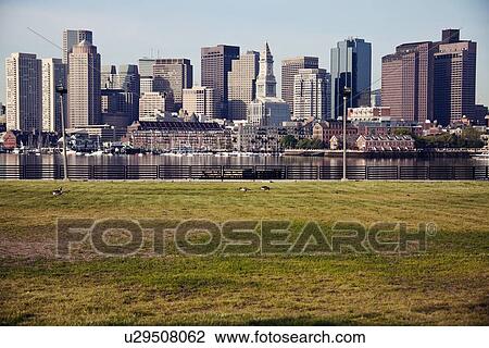 Stock Image - Skyline at sunrise, with grass foreground. Fotosearch