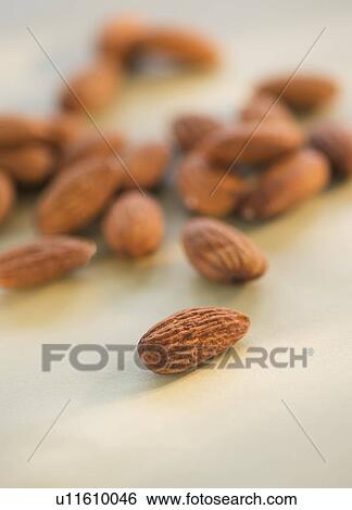 Studio Shot of almonds View Large Photo Image Stock Photograph - Studio Shot of almonds. Fotosearch