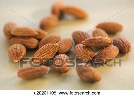 Studio Shot of almonds View Large Photo Image Stock Photography - Studio Shot of almonds. Fotosearch